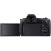 Canon EOS R - Cámara compacta de 30.3 MP (Wi-Fi, Bluetooth, Sensor Dual Pixel CMOS AF, ISO, 4K) Negro - Kit con Cuerpo y Mount Adapter EF-EOS R Canon EOS R - Cámara compacta de 30.3 MP (Wi-Fi, Bluetooth, Sensor Dual Pixel CMOS AF, ISO, 4K) Negro - Kit con Cuerpo y Mount Adapter EF-EOS R