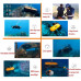 GZZG Robot Submarino no tripulado 150M Detector de Agua Profunda 4K Cámara de Buceo Búsqueda de Buceo y Rescate Robot Inteligente Submarino (Color : Orange) GZZG Robot Submarino no tripulado 150M Detector de Agua Profunda 4K Cámara de Buceo Búsqueda de Buceo y Rescate Robot Inteligente Submarino (Color : Orange)